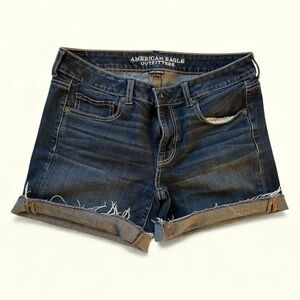 American Eagle Outfitters Blue Stretch Shorts